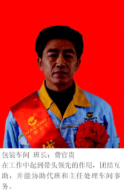 2008年度mg冰球突破铝厂优异员工