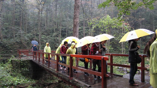 我公司组织部分员工张家界，，，，，凤凰古城四日游